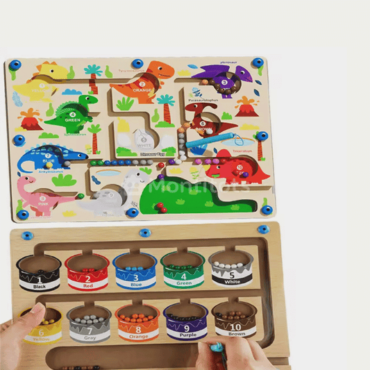 Magnetic Maze Toys photo 3