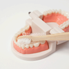 Montessori Brushing Teeth photo 6