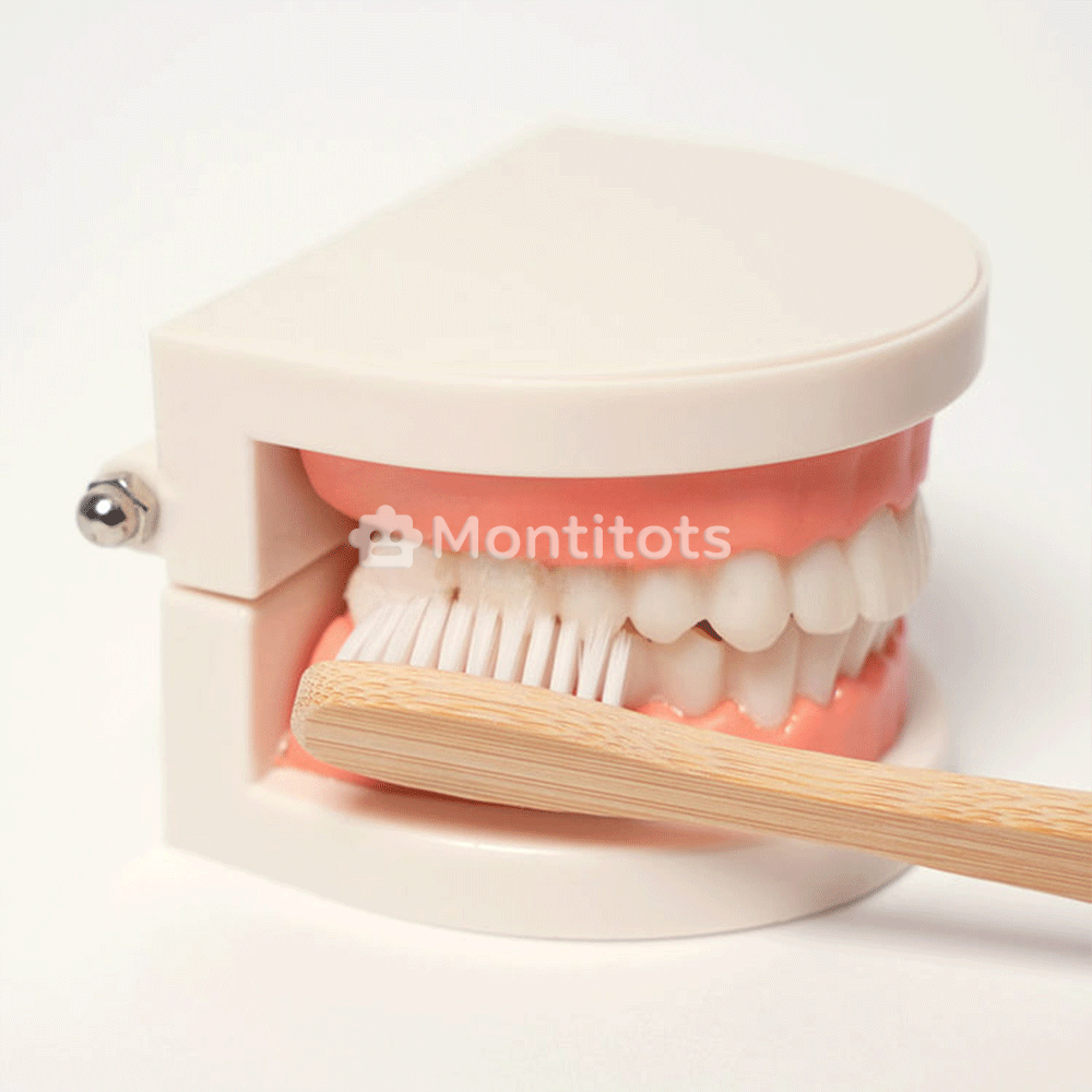 Montessori Brushing Teeth photo 7