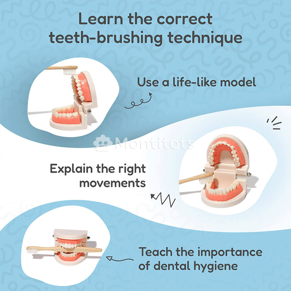 Montessori Brushing Teeth photo 8