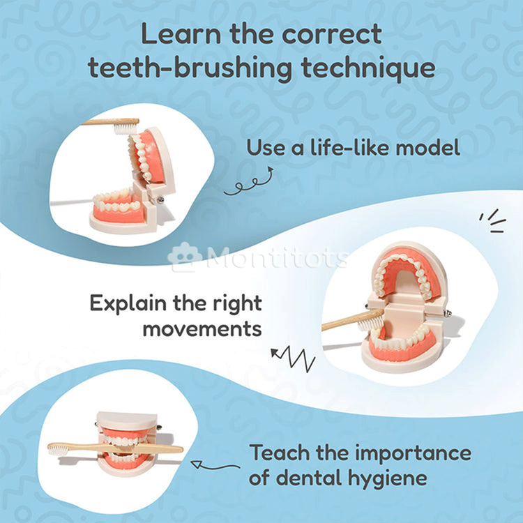 Montessori Brushing Teeth photo 8