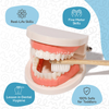 Montessori Brushing Teeth photo 10