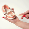 Montessori Brushing Teeth photo 3