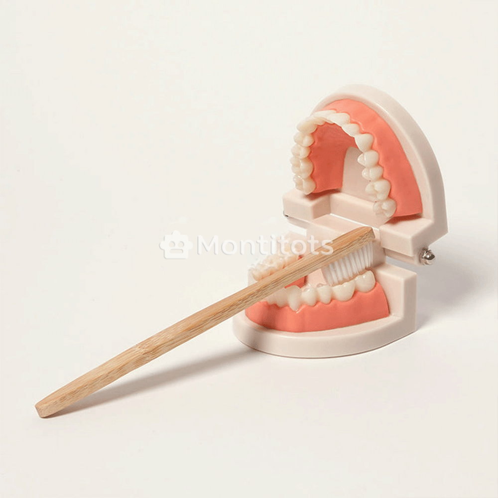 Montessori Brushing Teeth photo 4