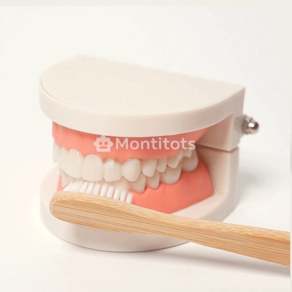 Montessori Brushing Teeth photo 4