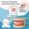 Montessori Brushing Teeth photo 9