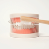 Montessori Brushing Teeth photo 5