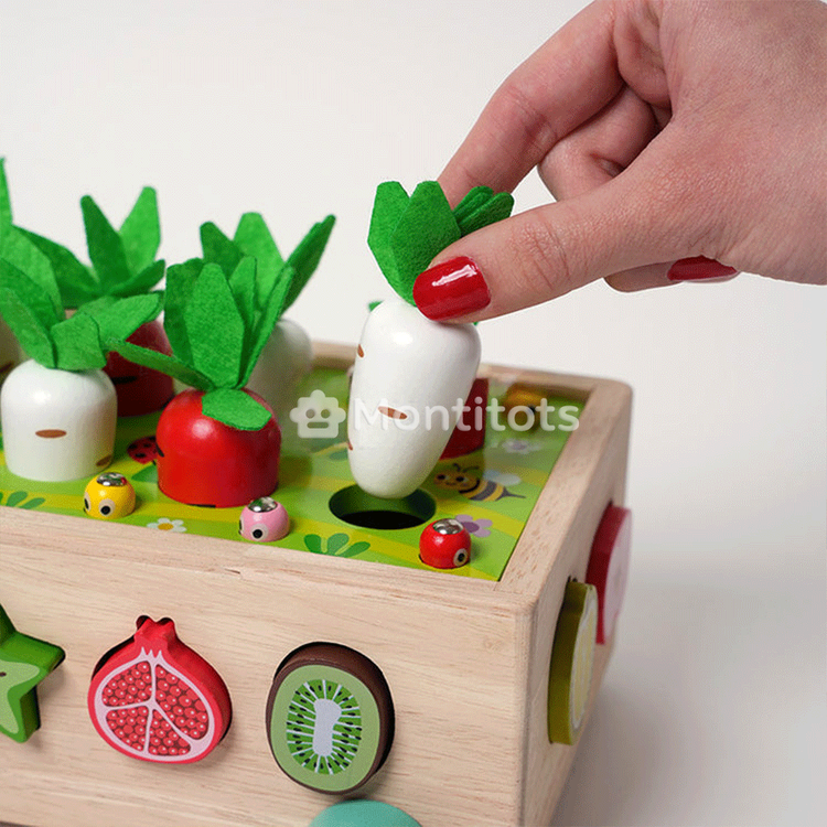 Montessori Carrot Wheels photo 7