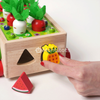 Montessori Carrot Wheels photo 8