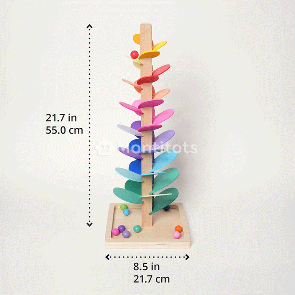 Montessori Rainbow Tree sizes