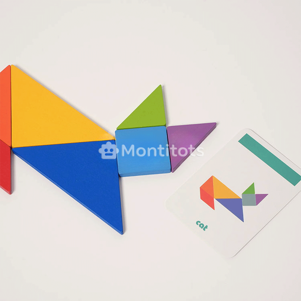 Montessori Sorting Puzzle photo10
