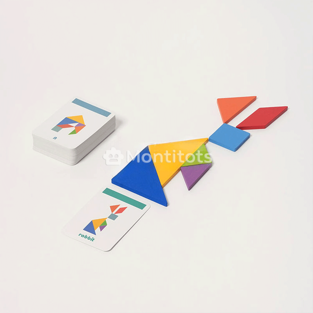 Montessori Sorting Puzzle photo5