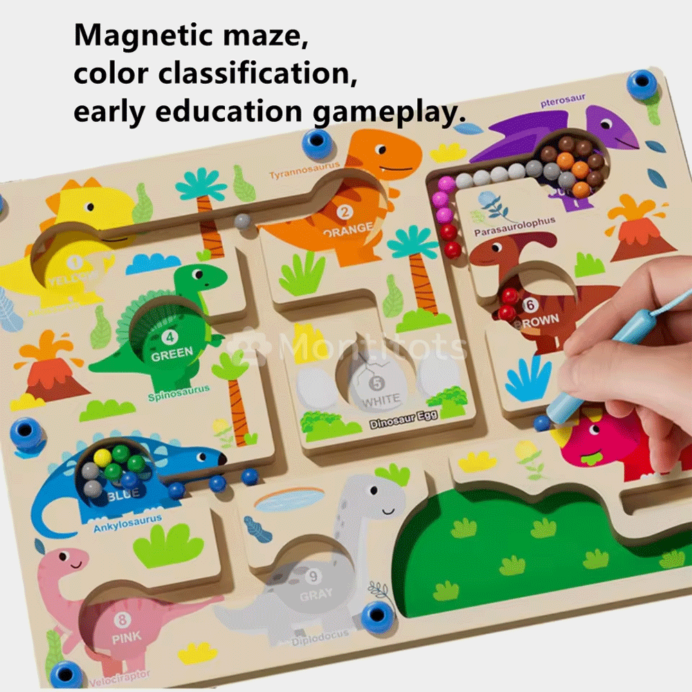 Magnetic Maze Toys photo 4