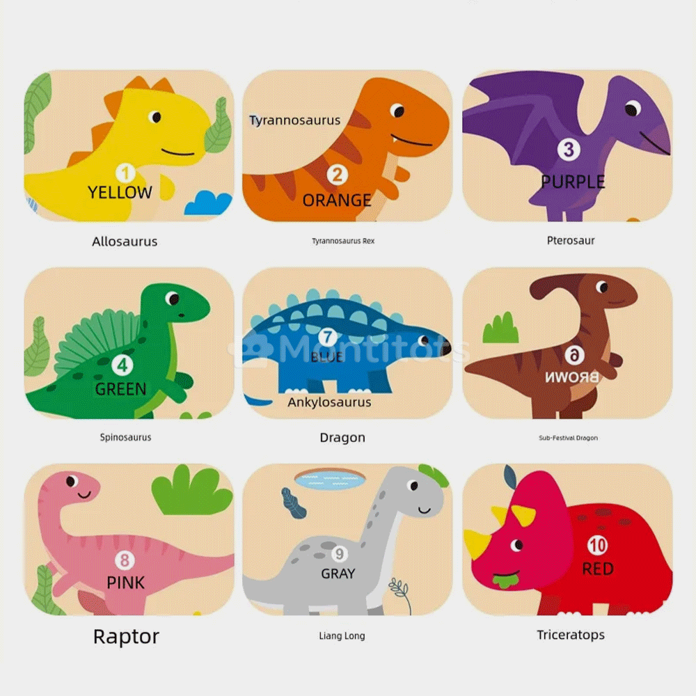 Magnetic Maze Toys colors and styles